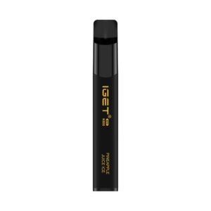 IGET MINI K800 (800 PUFFS)