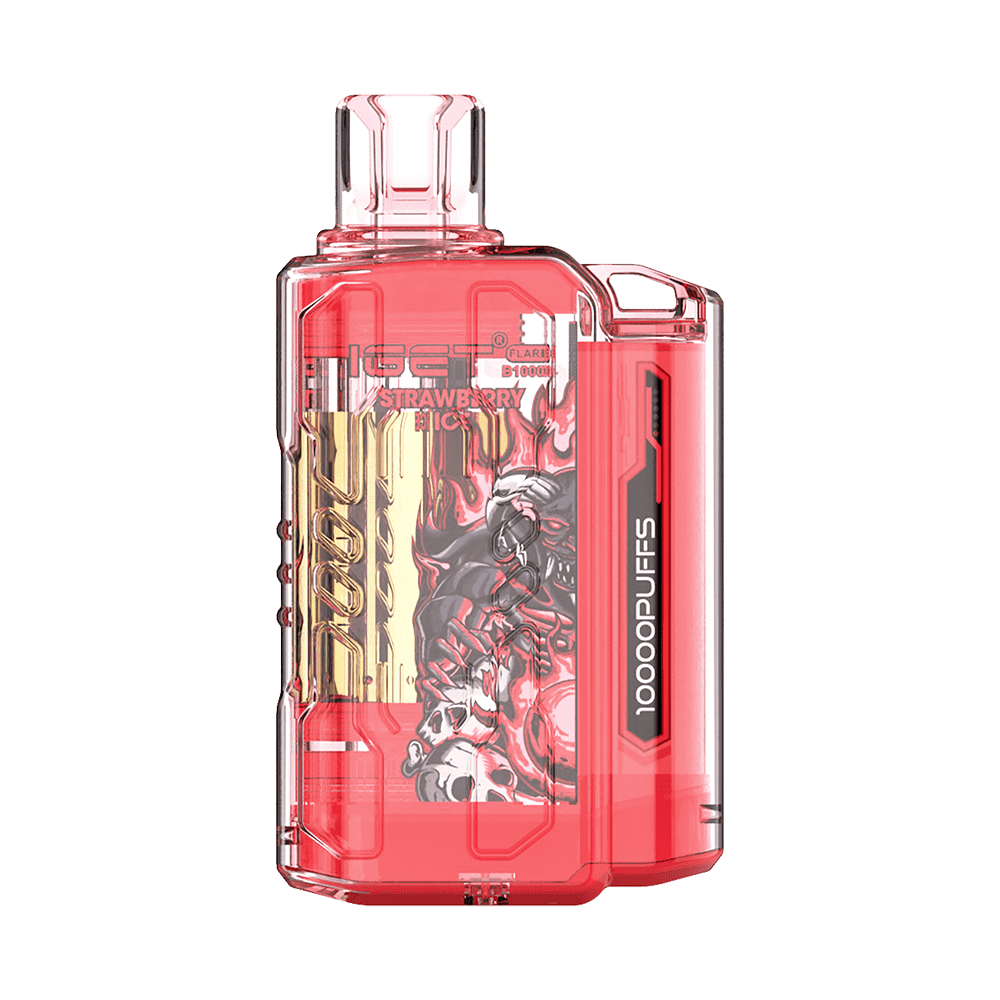 IGET FLARE B10000 (10000 PUFFS)